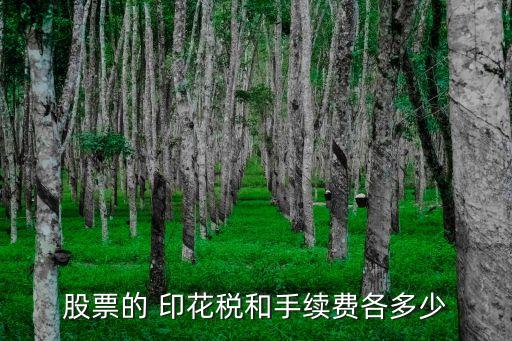 股票的 印花稅和手續(xù)費各多少
