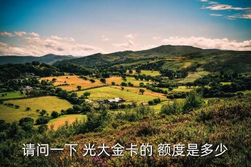 短信 光大白金信用卡額度是多少,光大商旅白金信用卡最高額度