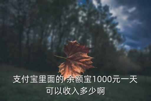 余額寶1天能賺多少錢