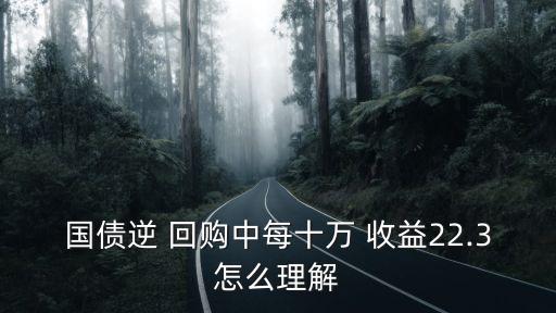國(guó)債逆 回購(gòu)中每十萬(wàn) 收益22.3怎么理解