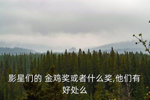 影星們的 金雞獎或者什么獎,他們有好處么