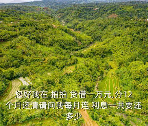拍拍貸借1萬多少利息是多少錢