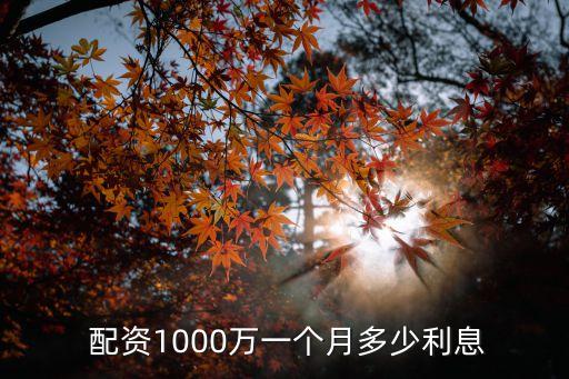  配資1000萬一個月多少利息