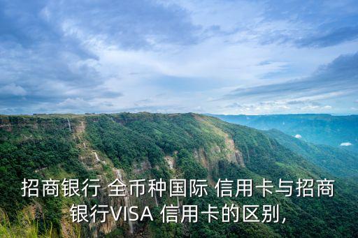 招商銀行 全幣種國(guó)際 信用卡與招商銀行VISA 信用卡的區(qū)別,