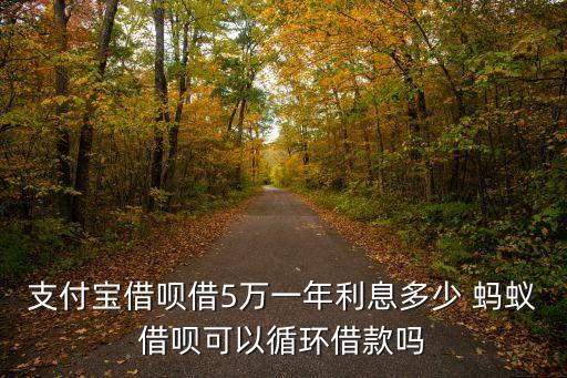 螞蟻貸款能貸多少錢,重慶螞蟻小額貸款是哪個(gè)網(wǎng)貸
