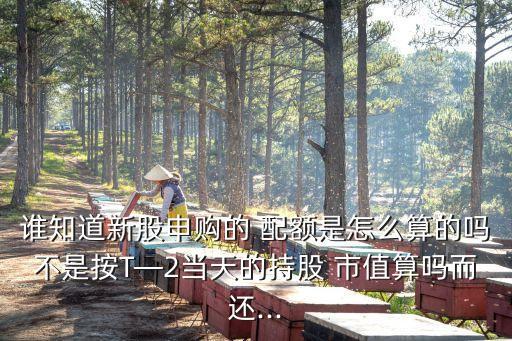 5萬(wàn)市值有多少配額