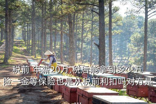 年薪20萬每年能存多少