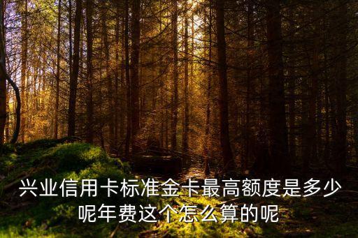  興業(yè)信用卡標(biāo)準(zhǔn)金卡最高額度是多少呢年費這個怎么算的呢