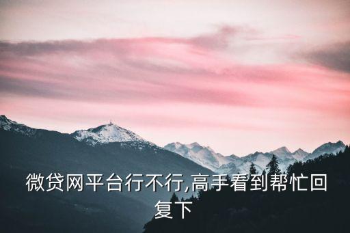 微貸網(wǎng)新手標(biāo)限額多少錢