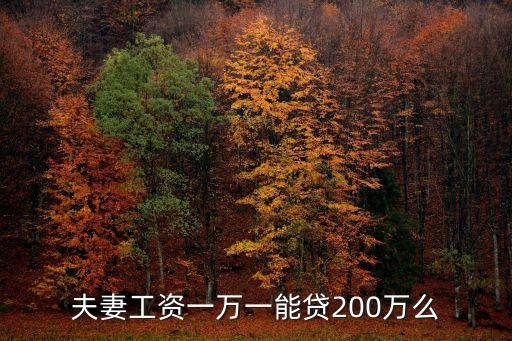 夫妻工資一萬一能貸200萬么