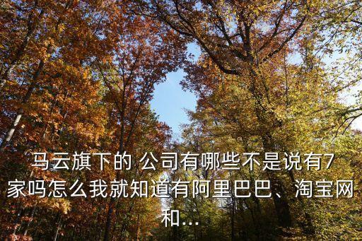  馬云旗下的 公司有哪些不是說(shuō)有7家嗎怎么我就知道有阿里巴巴、淘寶網(wǎng)和...