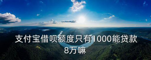  支付寶借唄額度只有1000能貸款8萬嘛