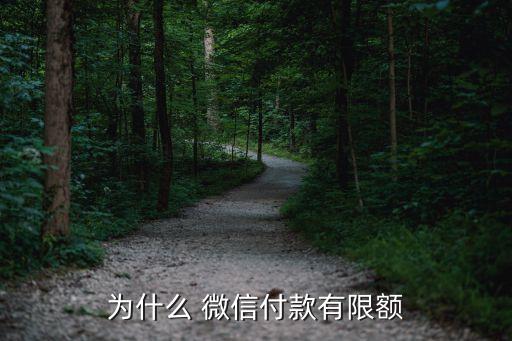 建行微信月額度是多少,微信支付提現(xiàn)建行免費額度