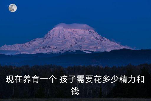 現(xiàn)在養(yǎng)育一個(gè) 孩子需要花多少精力和錢