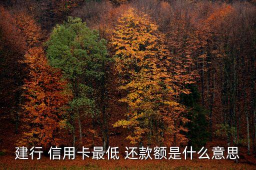 建行 信用卡最低 還款額是什么意思