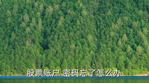 股票賬戶 密碼忘了怎么辦