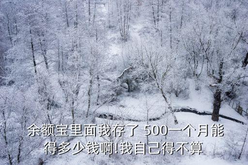  余額寶里面我存了 500一個月能得多少錢啊!我自己得不算