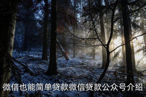 掌眾金融利息多少,微眾企業(yè)金融利息高嗎?