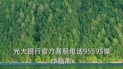  光大銀行官方客服電話95595操作指南