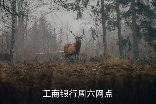 盤錦工行多少支行,工行南陽路支行電話多少