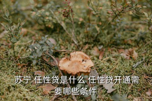 蘇寧任性貸怎么提額度是多少