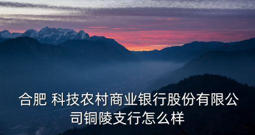  合肥 科技農(nóng)村商業(yè)銀行股份有限公司銅陵支行怎么樣