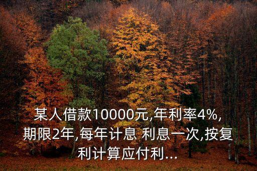 某人借款10000元,年利率4%,期限2年,每年計息 利息一次,按復利計算應付利...