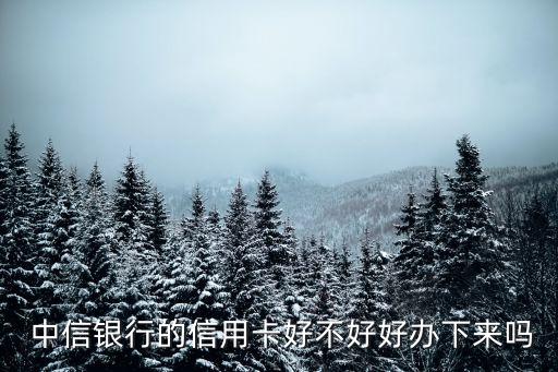  中信銀行的信用卡好不好好辦下來嗎