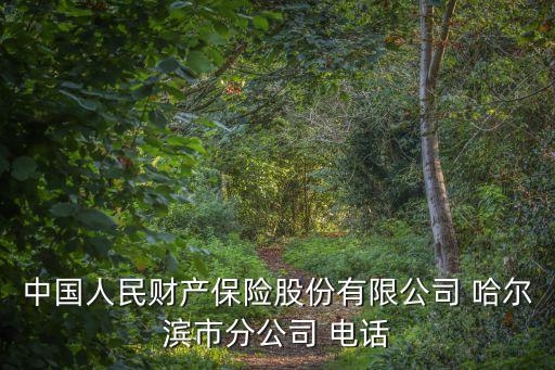 中國人民財產(chǎn)保險股份有限公司 哈爾濱市分公司 電話