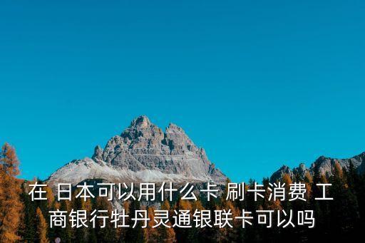 工商銀行信用卡日本刷卡有手續(xù)費多少