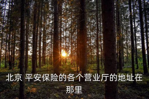 北京 平安保險的各個營業(yè)廳的地址在那里