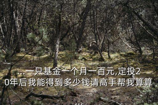 ...一只基金一個(gè)月一百元,定投20年后我能得到多少錢請(qǐng)高手幫我算算...