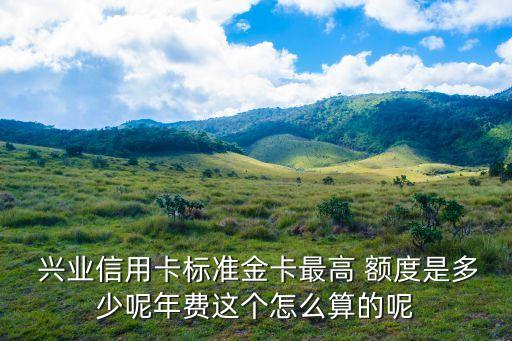 興業(yè)2卡額度多少錢(qián),興業(yè)信用卡下卡額度高嗎