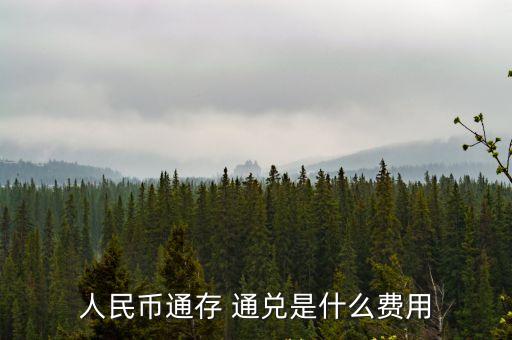 人民幣通存 通兌是什么費(fèi)用