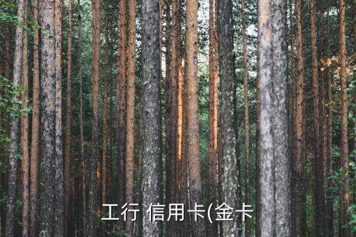 工行 信用卡(金卡