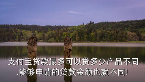 支付寶可以借貸多少錢?,急用錢哪個平臺好借一點