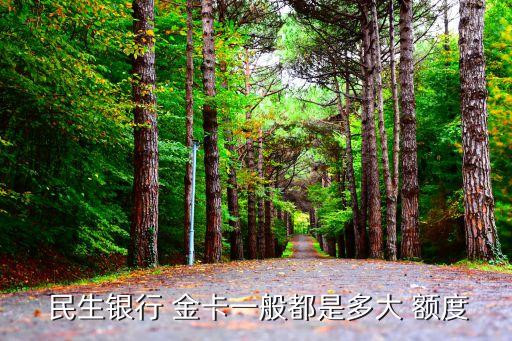  民生銀行 金卡一般都是多大 額度