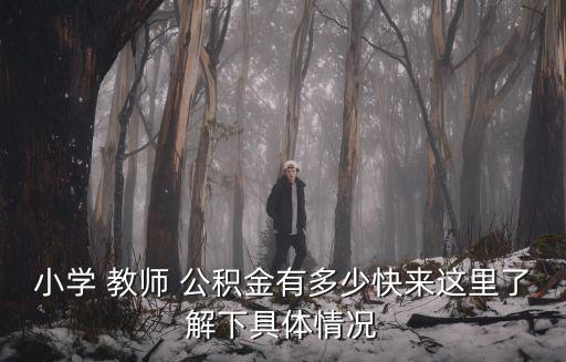 小學(xué) 教師 公積金有多少快來這里了解下具體情況