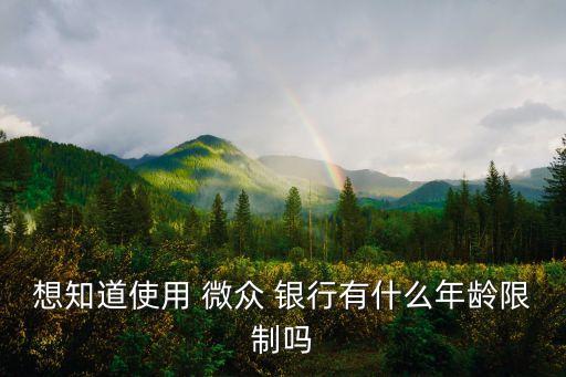 微眾銀行多少人用