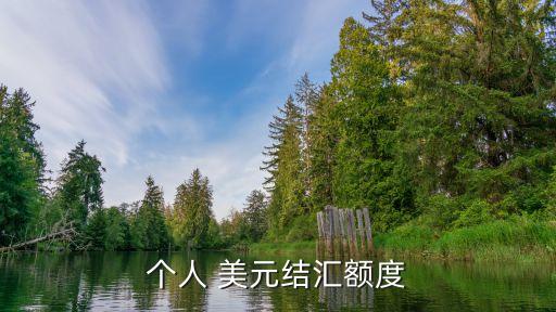 上海銀行一次性可以換多少美元