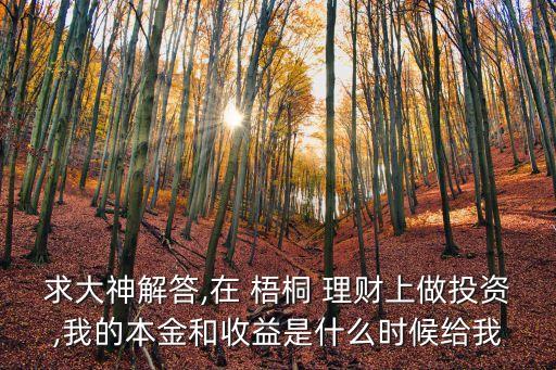 求大神解答,在 梧桐 理財(cái)上做投資,我的本金和收益是什么時(shí)候給我