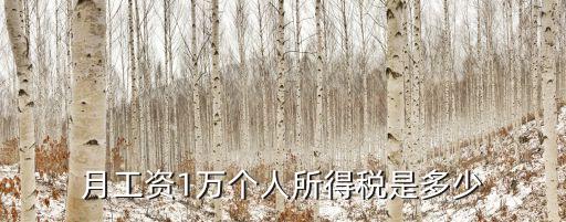 一萬元收入交多少稅,農(nóng)民工一萬元要交多少稅