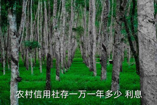 農(nóng)村銀行利息是多少錢(qián),農(nóng)村信銀行