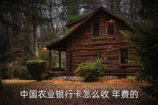 中國農(nóng)業(yè)銀行卡怎么收 年費(fèi)的