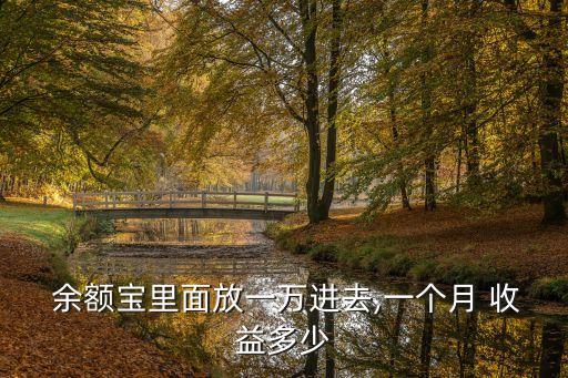  余額寶里面放一萬進(jìn)去,一個(gè)月 收益多少