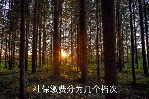  社保繳費(fèi)分為幾個(gè)檔次