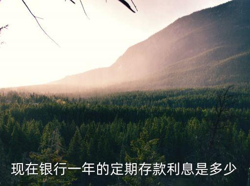 現(xiàn)在銀行一年的定期存款利息是多少