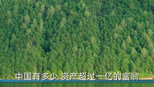 中國有多少 資產(chǎn)超過一億的富翁