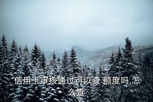 剛辦的信用卡怎么查額度是多少時(shí)間
