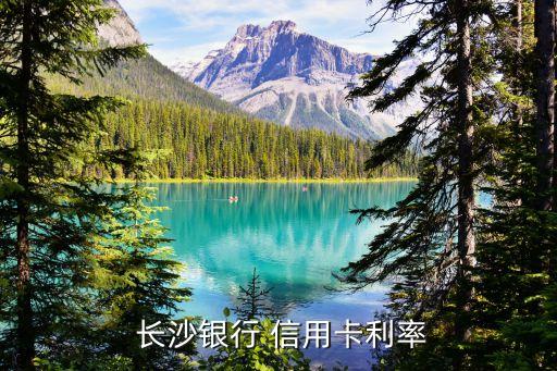 長沙養(yǎng)信用卡多少錢一月,長沙信用卡電話號碼是多少